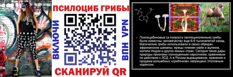 Псилоцибиновые грибы Psilocybe  Купить  Бородино 